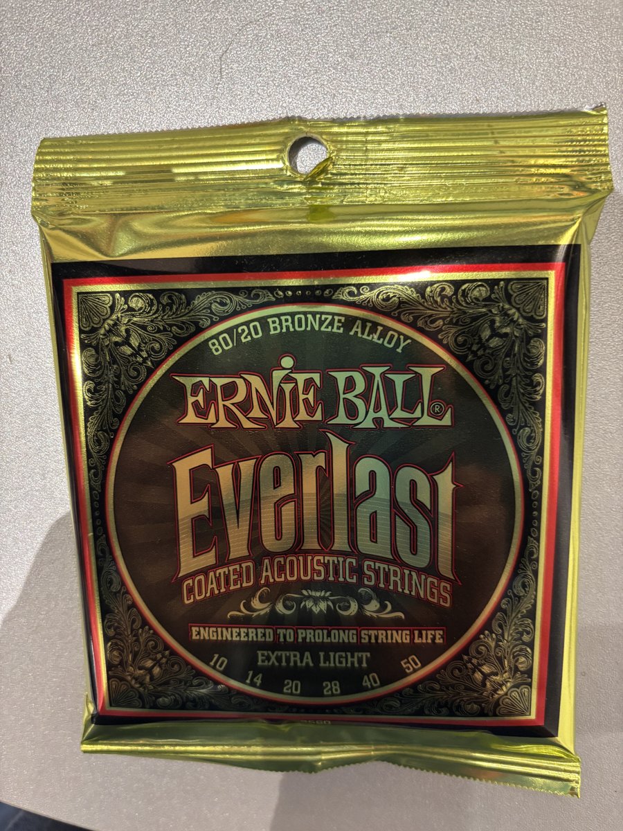 Ernie Ball Everlast